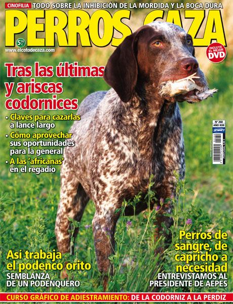 perros-de-caza-260-portada