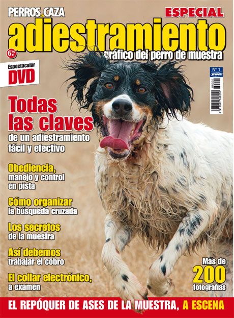 Perros de Caza Especial Adiestramiento