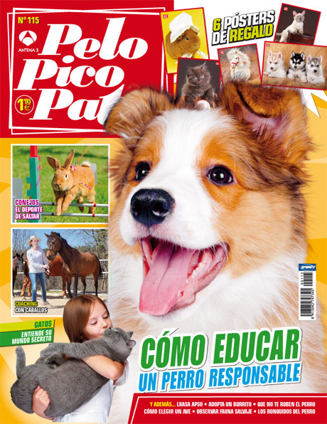 Pelo Pico Pata